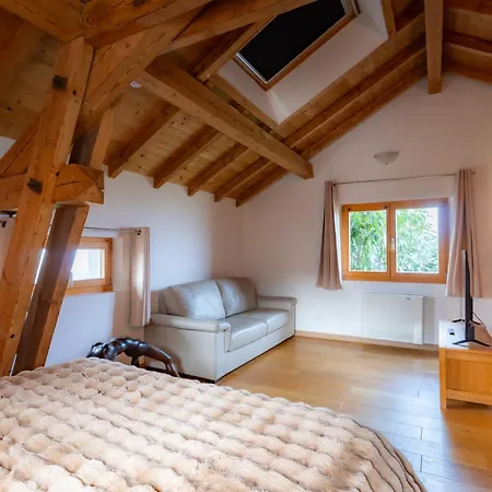 Guest house Sejour Paisible Pres De Geneve Neydens