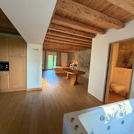Sejour Paisible Pres De Geneve Konukevi Neydens